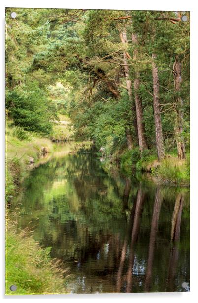Glendasan river Wicklow Ireland Acrylic by Phil Crean