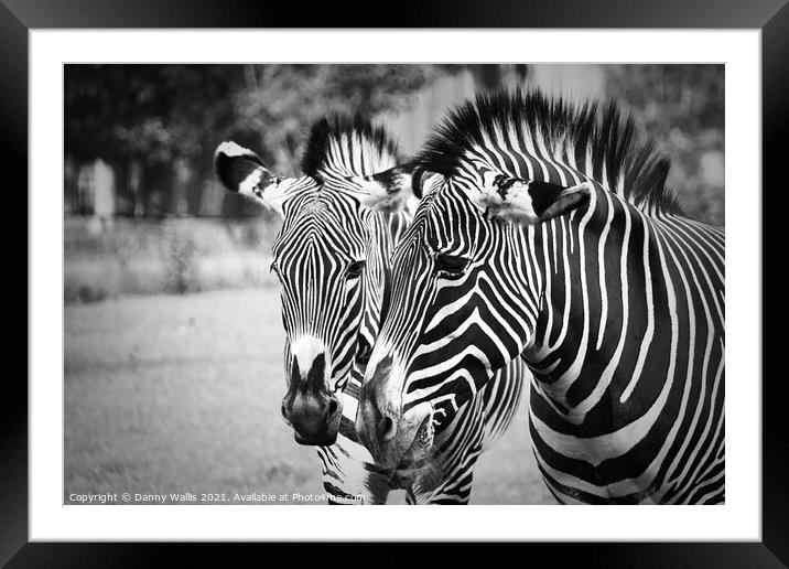 Black and white Stripes Framed Mounted Print by Danny Wallis