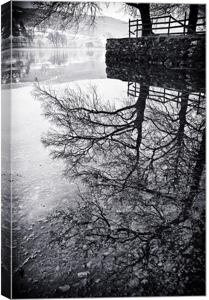 Tree Reflections, Coniston Canvas Print by Jason Connolly