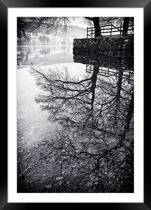 Tree Reflections, Coniston Framed Mounted Print by Jason Connolly
