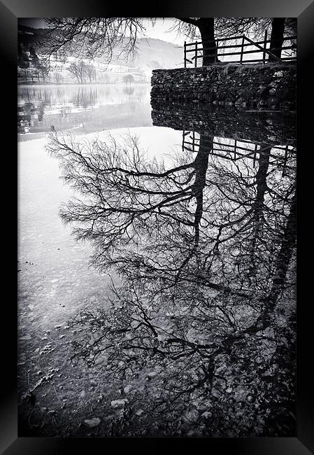 Tree Reflections, Coniston Framed Print by Jason Connolly