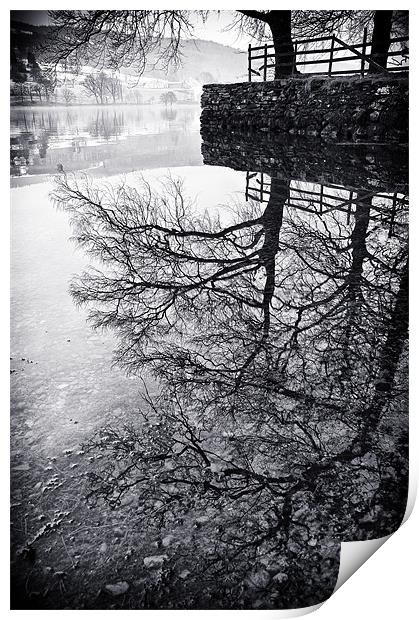 Tree Reflections, Coniston Print by Jason Connolly