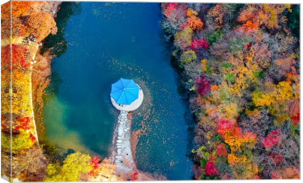 aerial view of Naejangsan park in autumn season  Canvas Print by Ambir Tolang