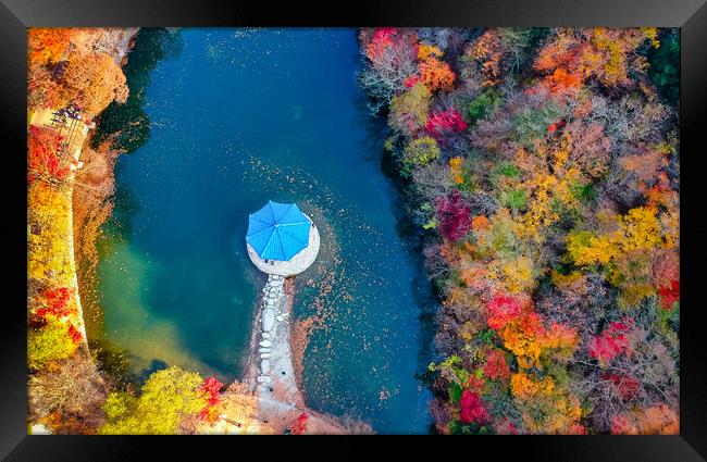 aerial view of Naejangsan park in autumn season  Framed Print by Ambir Tolang
