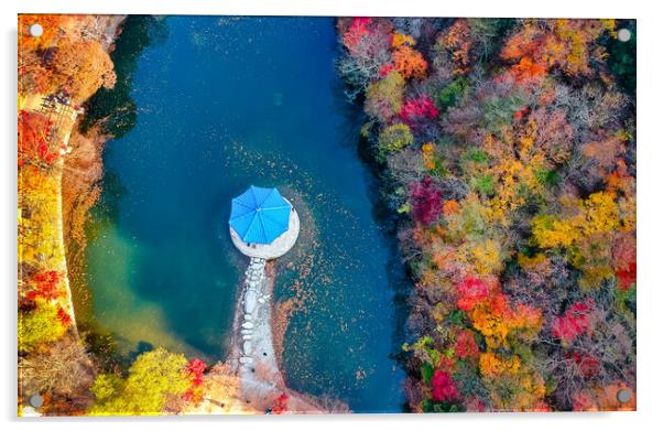 aerial view of Naejangsan park in autumn season  Acrylic by Ambir Tolang