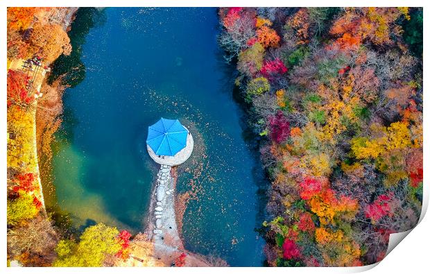 aerial view of Naejangsan park in autumn season  Print by Ambir Tolang