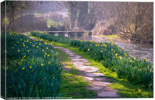 Eastleach clapper bridge, spring Canvas Print by Chris Rose