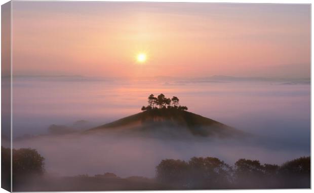 Hill in the Mist Canvas Print by David Neighbour