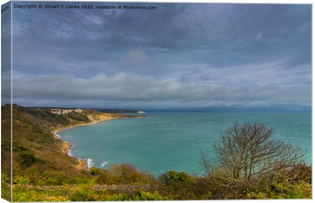 Durlston bay Canvas Print by Stuart C Clarke