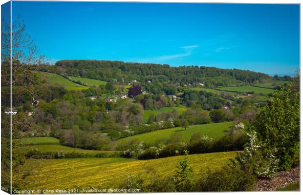 The Slad Valley Canvas Print by Chris Rose