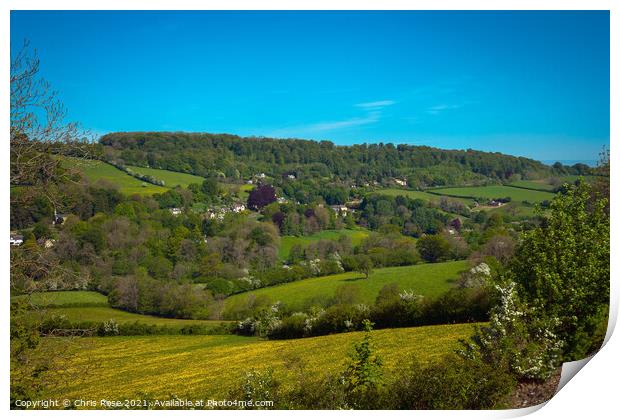 The Slad Valley Print by Chris Rose