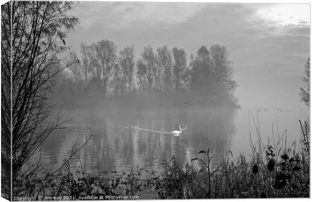 White Swan at Sunrise Black and White    Canvas Print by Jim Key