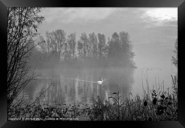 White Swan at Sunrise Black and White    Framed Print by Jim Key