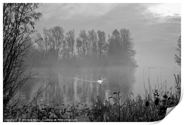 White Swan at Sunrise Black and White    Print by Jim Key
