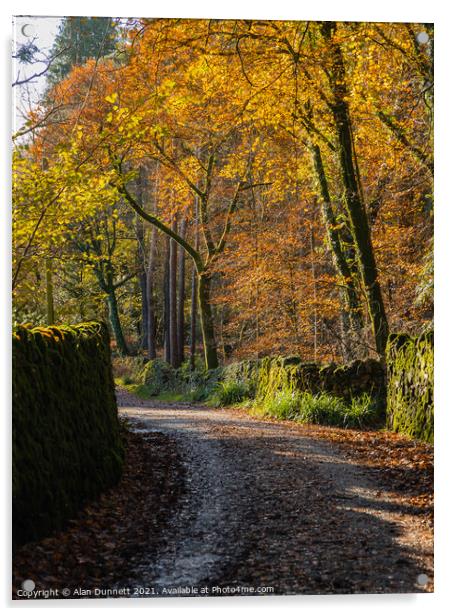 Autumnal Lane Acrylic by Alan Dunnett