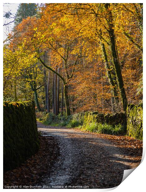 Autumnal Lane Print by Alan Dunnett