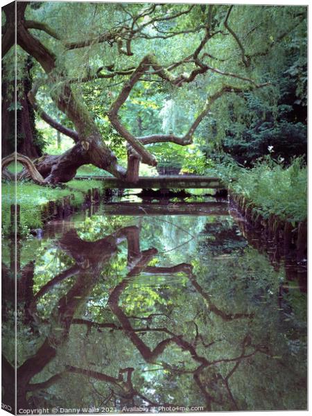 A Trees Reflection, Leeds Castle, Kent Canvas Print by Danny Wallis