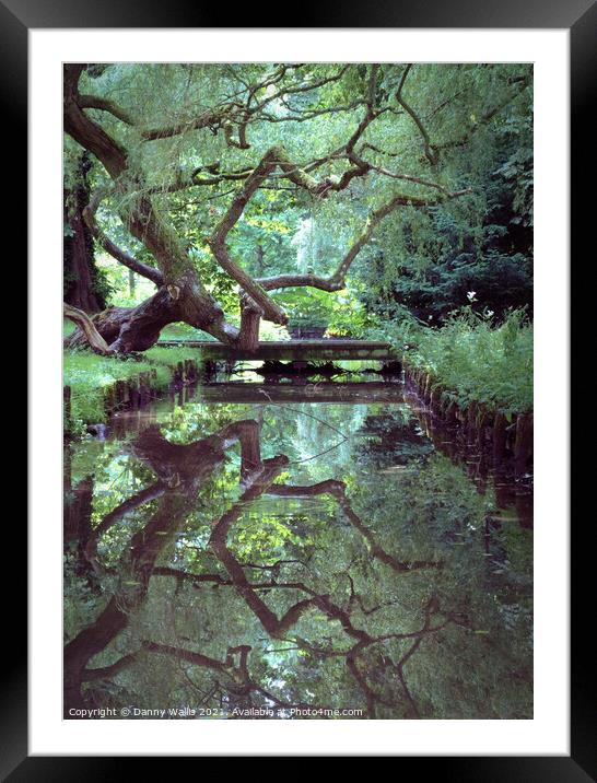 A Trees Reflection, Leeds Castle, Kent Framed Mounted Print by Danny Wallis