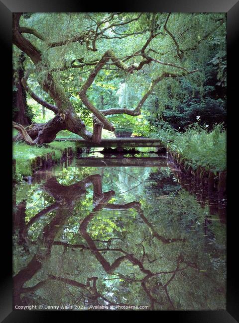 A Trees Reflection, Leeds Castle, Kent Framed Print by Danny Wallis