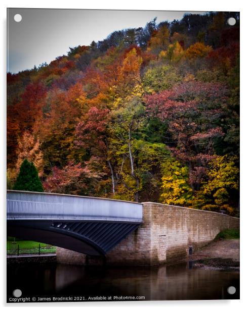 Pooley Bridge in Autumn Acrylic by James Brodnicki