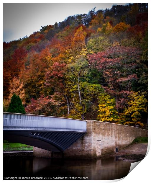 Pooley Bridge in Autumn Print by James Brodnicki