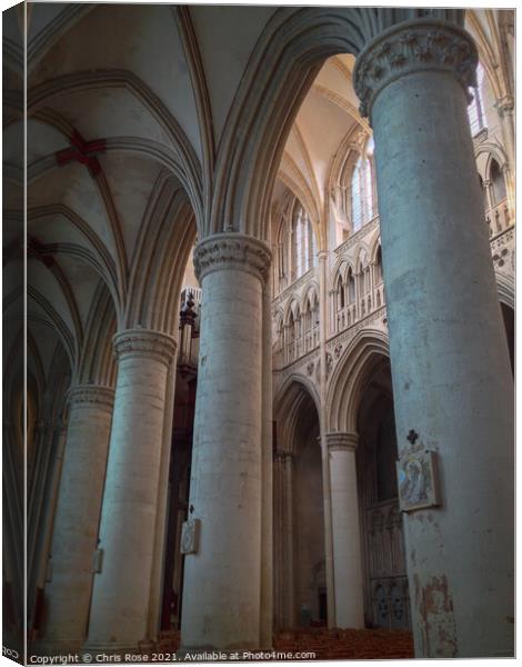 Sees Cathedral Canvas Print by Chris Rose