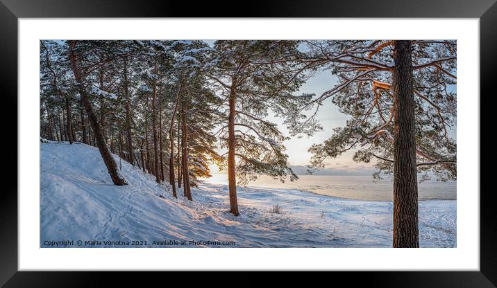 Winter forest landscape with covered in snow pine trees  Framed Mounted Print by Maria Vonotna