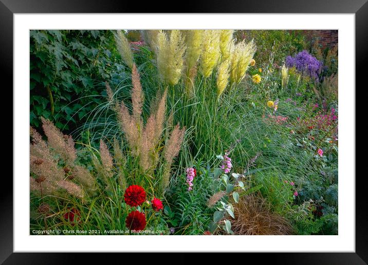 Colourful summer garden border Framed Mounted Print by Chris Rose