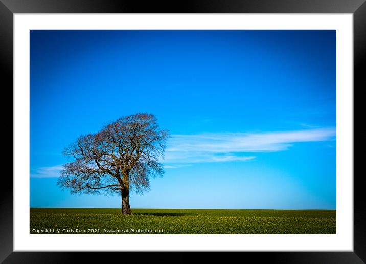 One tree on the horizon landscape Framed Mounted Print by Chris Rose