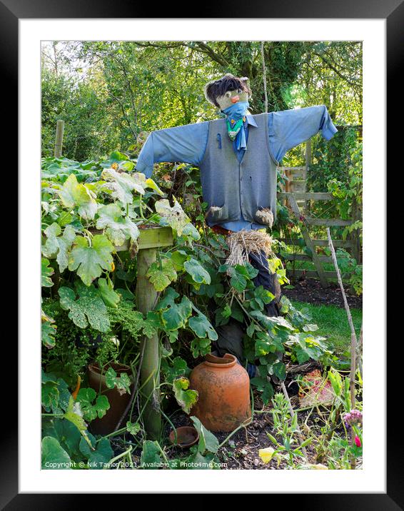 Scarecrow Framed Mounted Print by Nik Taylor