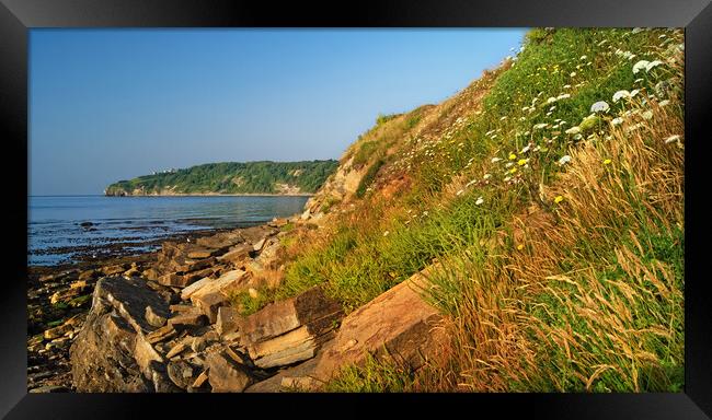 Durlston Head from Peveril Point Framed Print by Darren Galpin