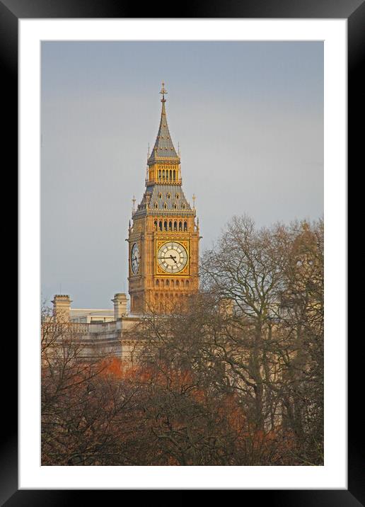 Big Ben Framed Mounted Print by Amy Rogers