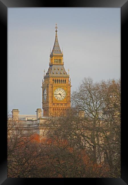 Big Ben Framed Print by Amy Rogers
