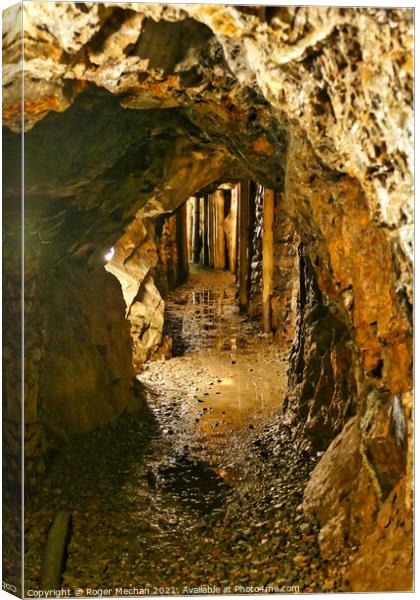 Depths of the Earth Canvas Print by Roger Mechan