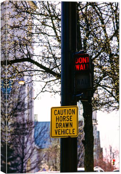 Caution Horse Drawn Vehicles Canvas Print by Gerry Walden LRPS