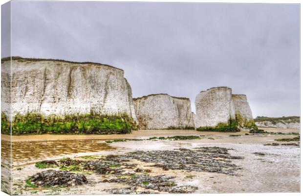 Botany Bay at Low tide Canvas Print by Diana Mower