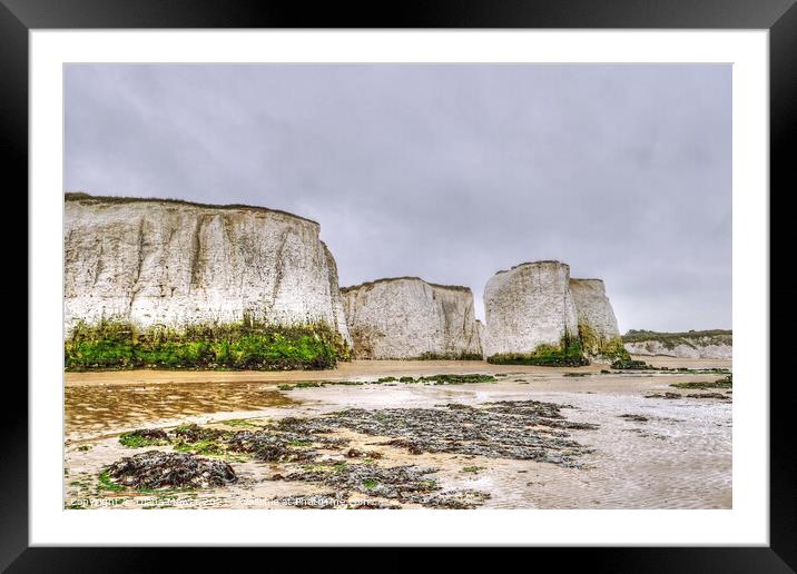 Botany Bay at Low tide Framed Mounted Print by Diana Mower