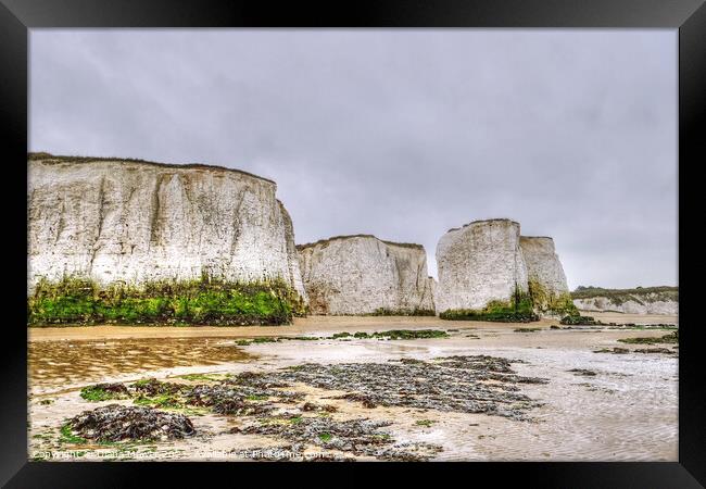 Botany Bay at Low tide Framed Print by Diana Mower