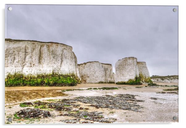 Botany Bay at Low tide Acrylic by Diana Mower