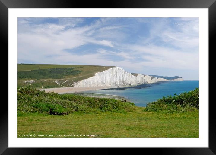 The Seven Sisters Chalk cliffs  Sussex  Framed Mounted Print by Diana Mower