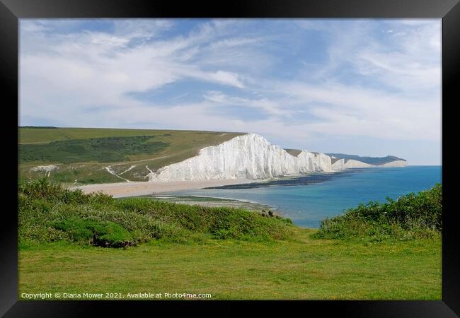 The Seven Sisters Chalk cliffs  Sussex  Framed Print by Diana Mower