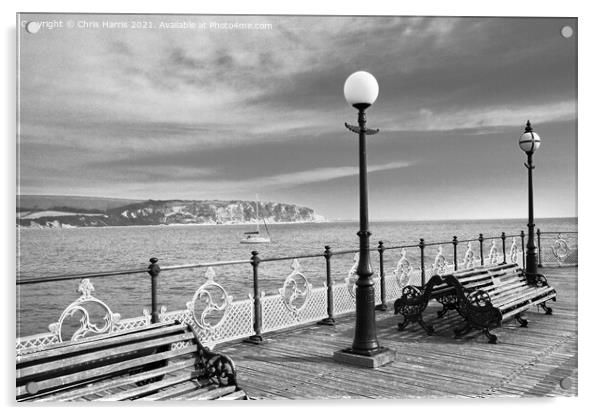 Swanage Pier and Ballard Down Acrylic by Chris Harris