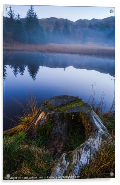 Harrop Tarn Acrylic by Nigel Wilkins