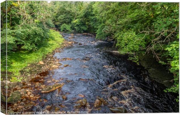 River Swale Canvas Print by Margaret Ryan