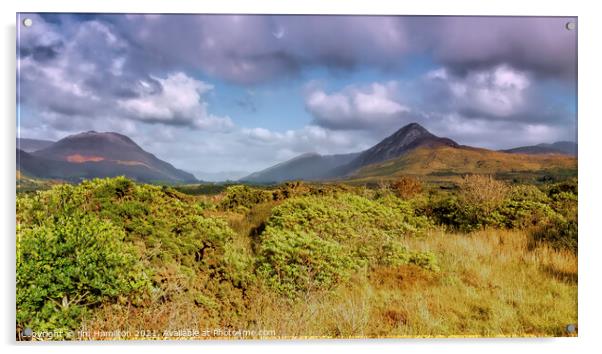 Connemara Mountains, Ireland Acrylic by jim Hamilton