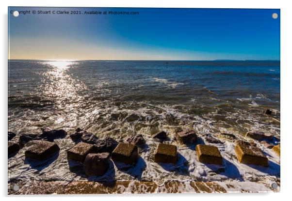 Selsey sea defences Acrylic by Stuart C Clarke