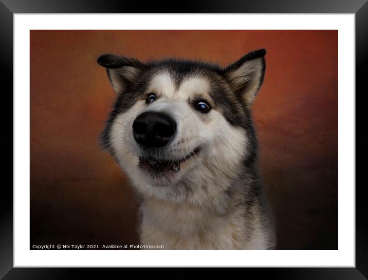 Goofy dog Framed Mounted Print by Nik Taylor
