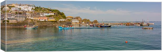 Mevagissey Outer Harbour Canvas Print by Malcolm McHugh