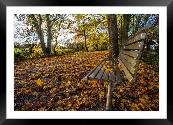 Silver bench on the golden leaves Framed Mounted Print by Jason Wells