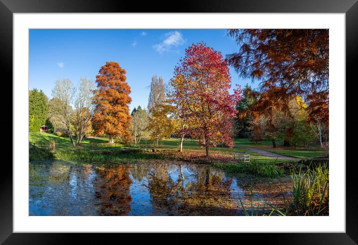 Ness Botanic Gardens panorama Framed Mounted Print by Jason Wells